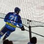 Home to the Stingrays